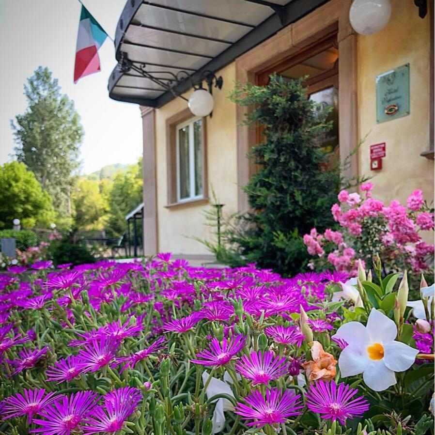 Hotel Valentino Acqui Terme Exterior photo
